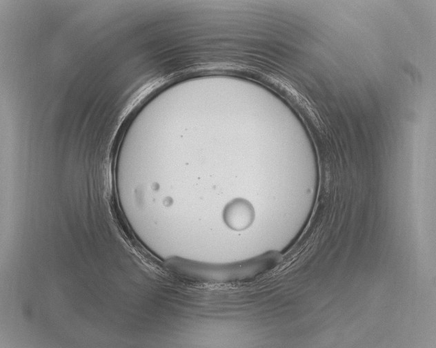 X0000115771274200912111058