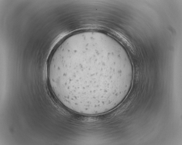 X0000115771275200912111058