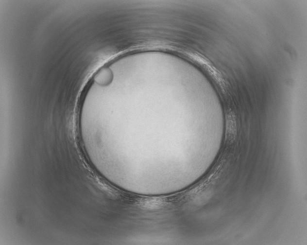 X0000115771278200912111058