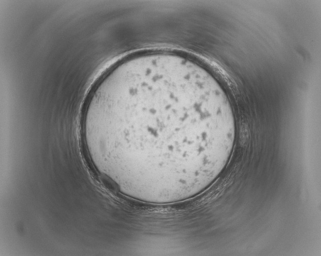 X0000115771279200912111058