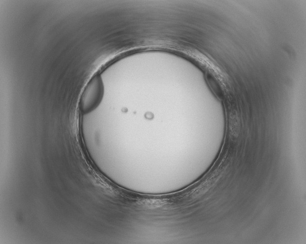 X0000115771280200912111058