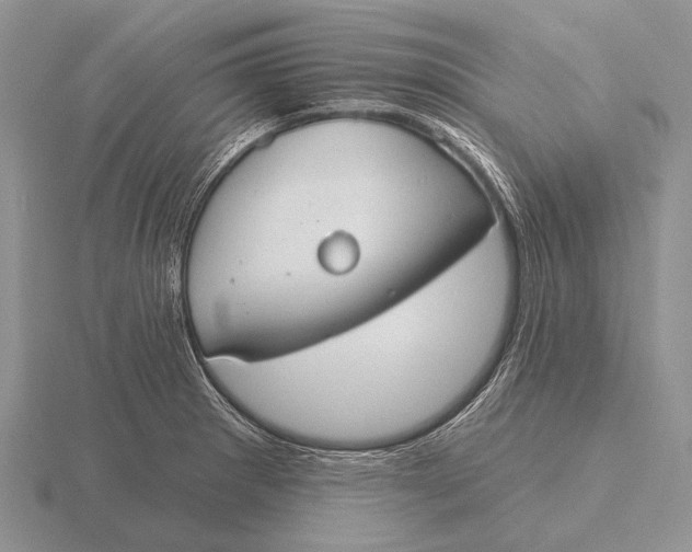 X0000115771281200912111058