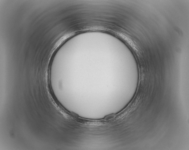 X0000115771282200912111058