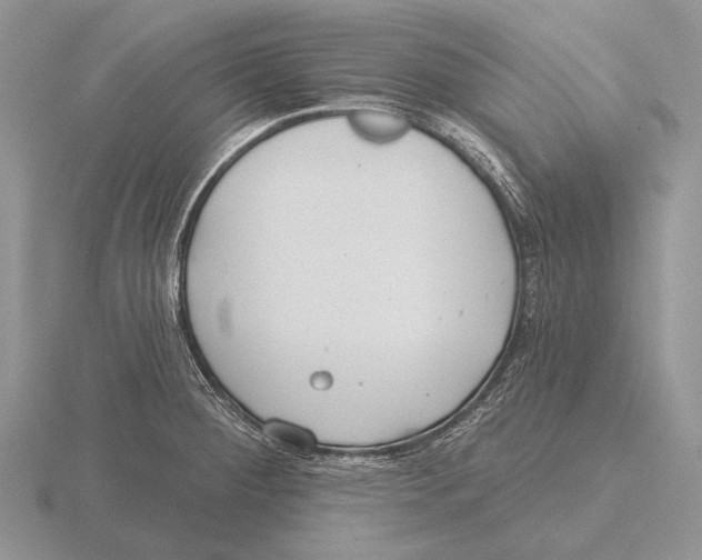 X0000115771284200912111058