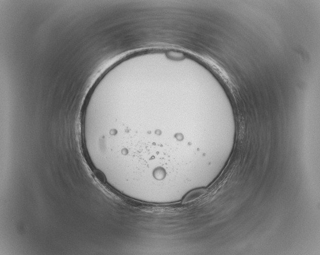 X0000115771287200912111058