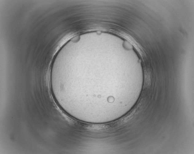 X0000115771290200912111058