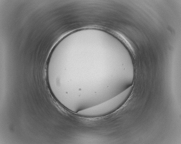 X0000115771292200912111058