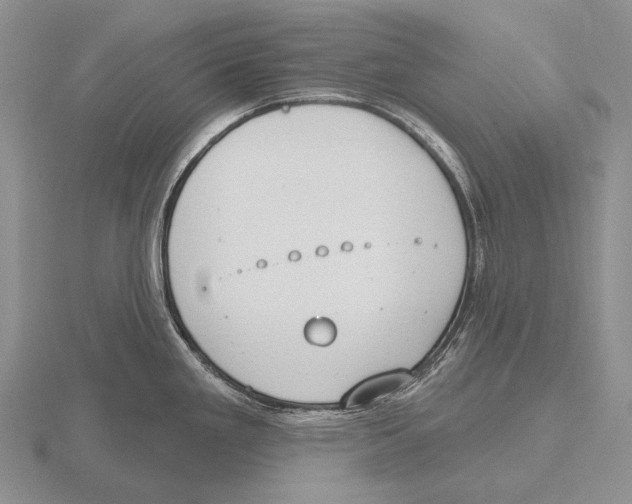 X0000115771293200912111058