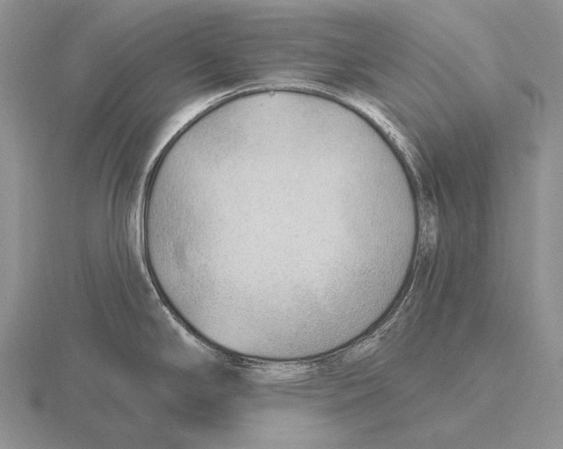 X0000115771294200912111058