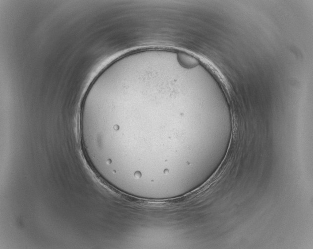 X0000115771295200912111058