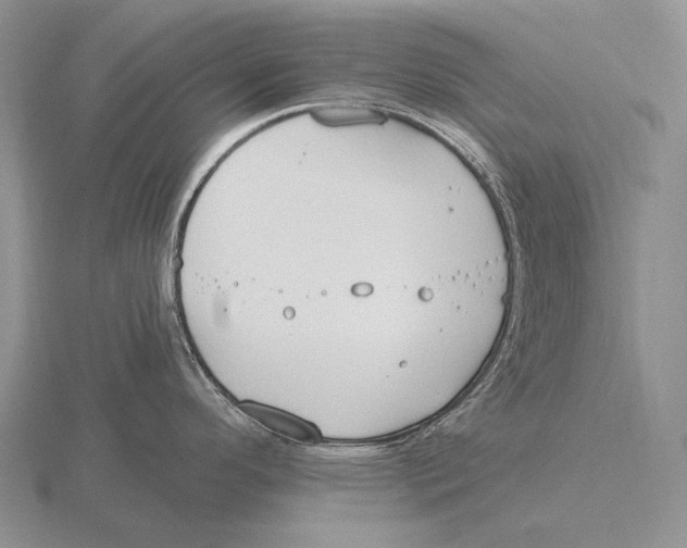 X0000115771296200912111058