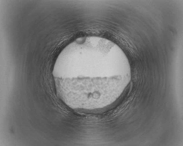 X0000115771297200912111058