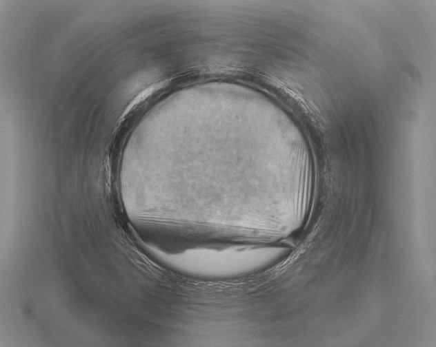 X0000115771306200912111058