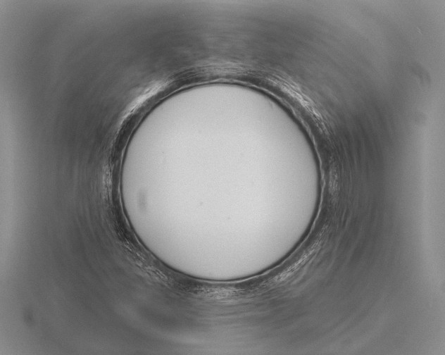 X0000115771309200912111058