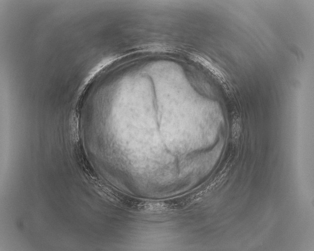 X0000115771310200912111058