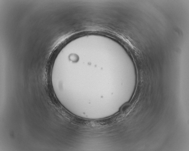 X0000115771311200912111058