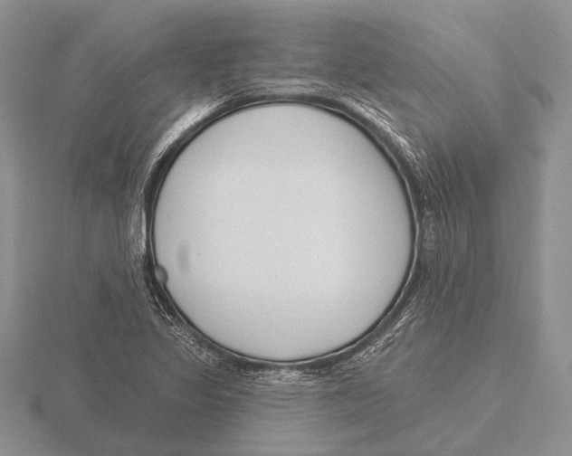 X0000115771317200912111058