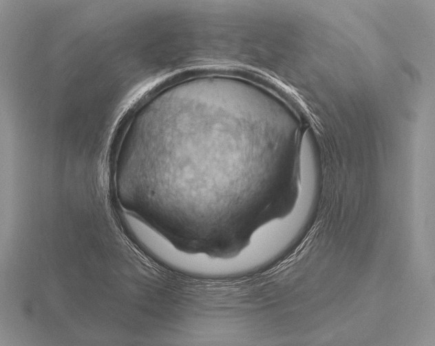 X0000115771319200912111058