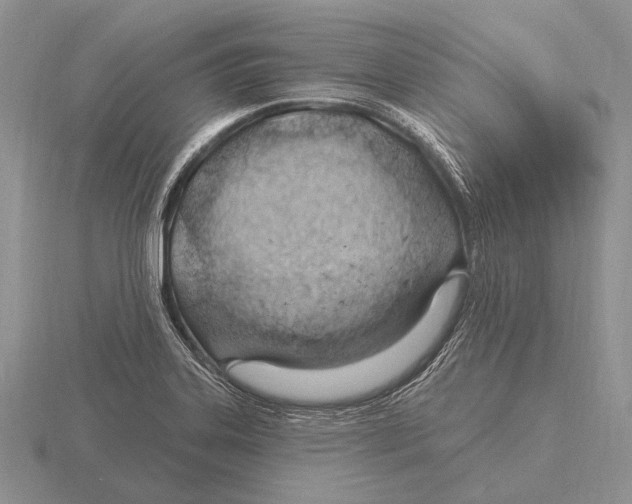 X0000115771323200912111058