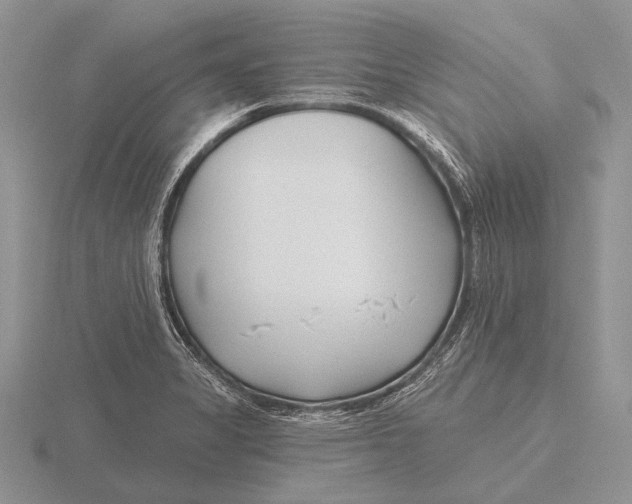 X0000115771325200912111058