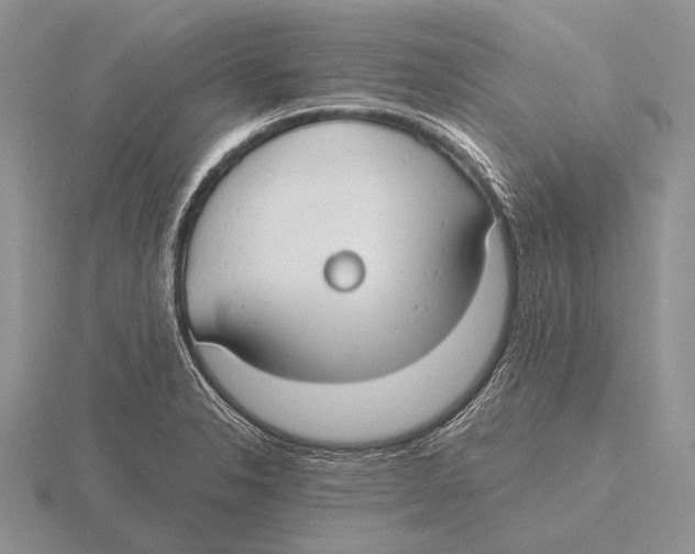 X0000115771326200912111058