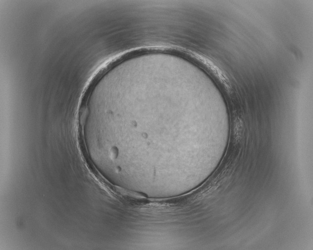 X0000115771327200912111058