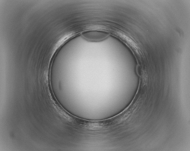 X0000115771330200912111058