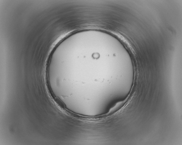 X0000115771333200912111058