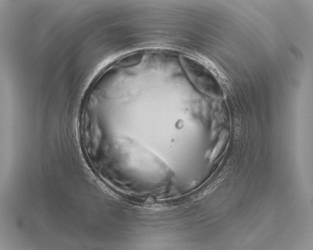 X0000115771334200912111058