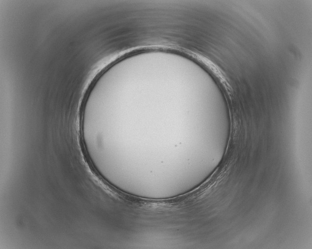 X0000115771335200912111058