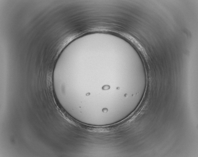 X0000115771337200912111058