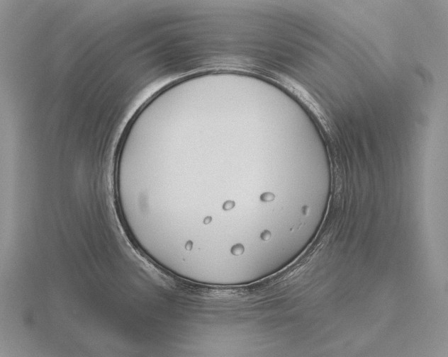 X0000115771339200912111058