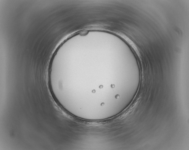 X0000115771341200912111058