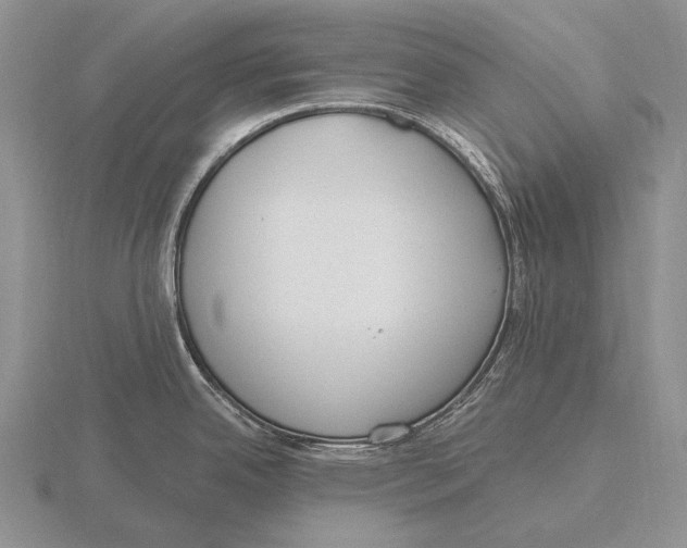 X0000115771342200912111058