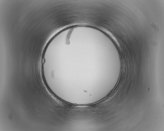 X0000115771343200912111058