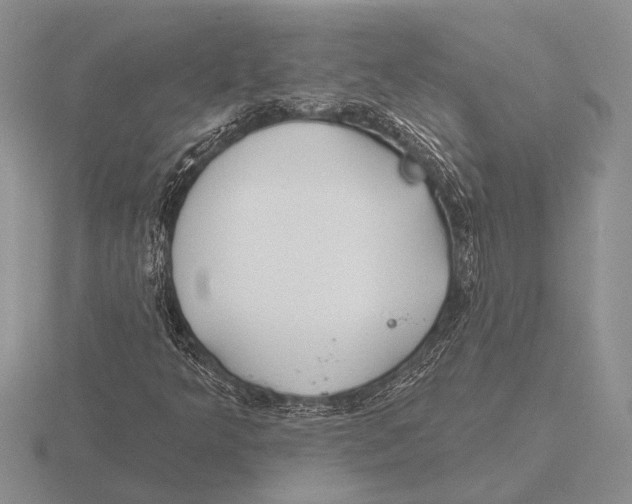 X0000115771349200912111057