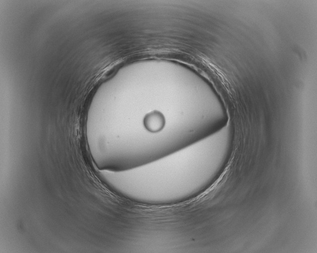 X0000115771353200912111057