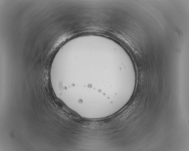 X0000115771355200912111057