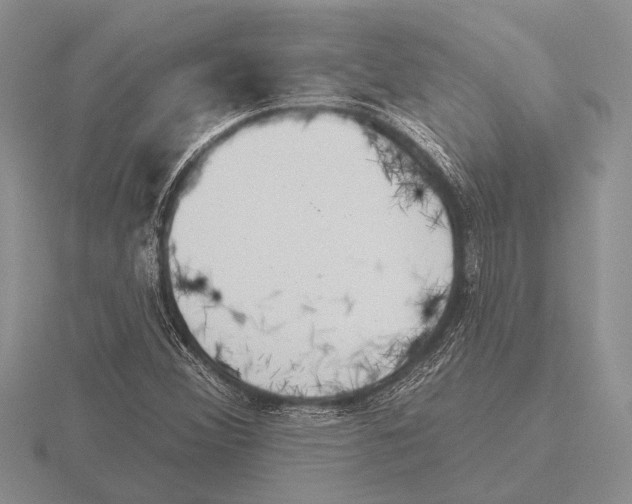 X0000115771356200912111057