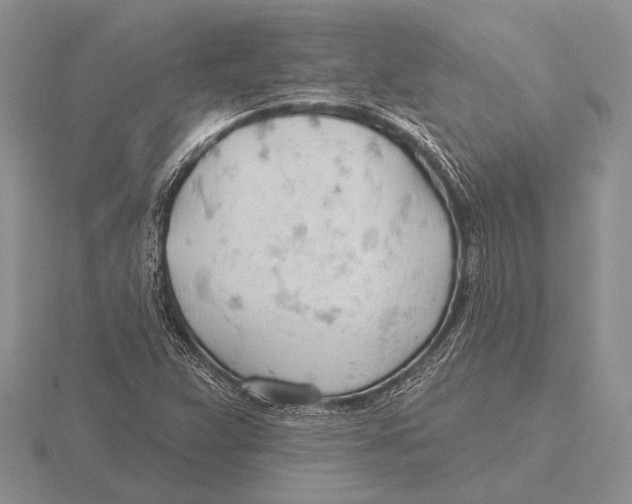 X0000115771359200912111057