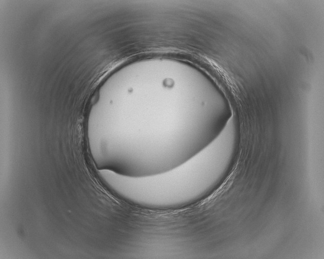 X0000115771361200912111057