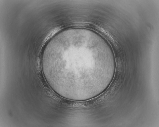 X0000115771362200912111057