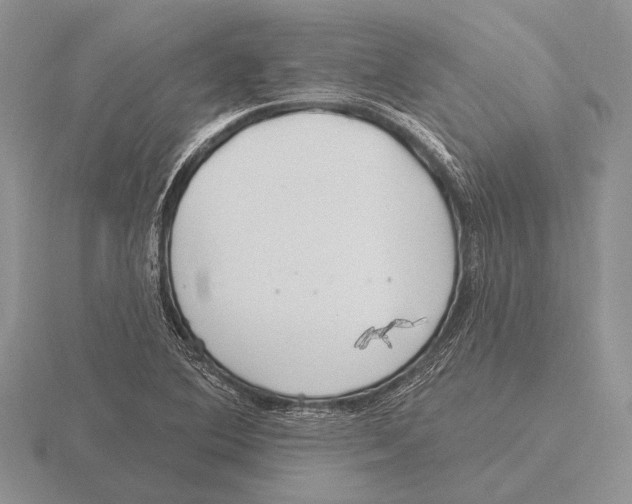 X0000115771364200912111057