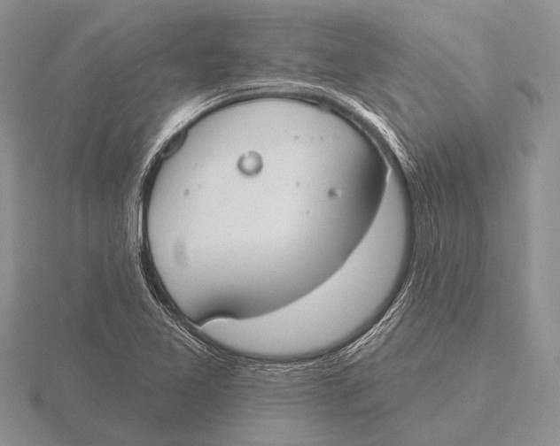 X0000115771365200912111057