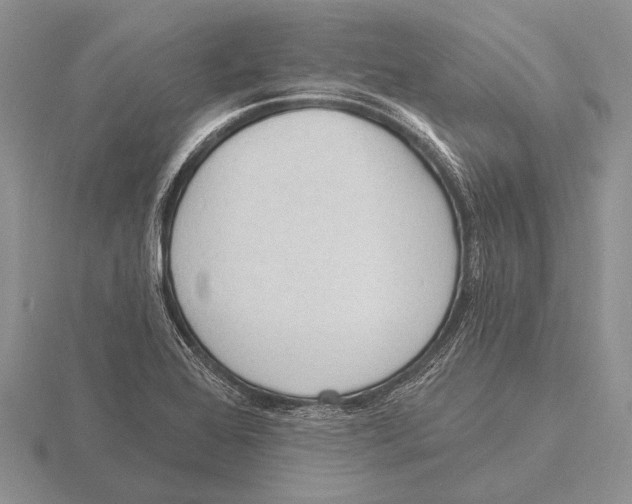 X0000115771368200912111057