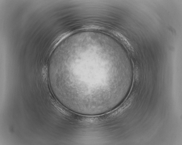 X0000115771369200912111057