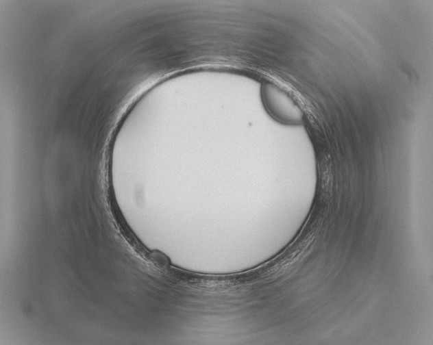 X0000115771375200912111057