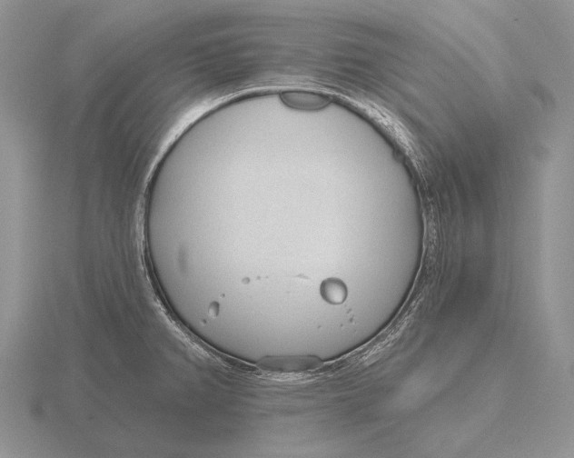 X0000115771382200912111057