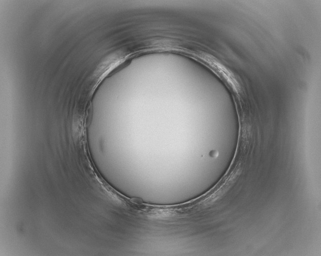 X0000115771385200912111057