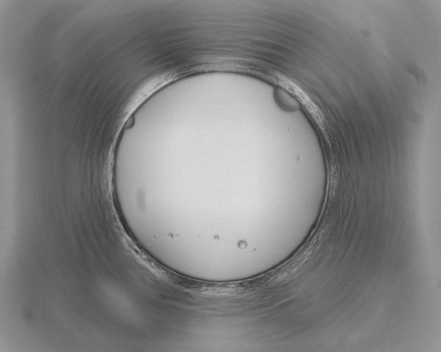 X0000115771386200912111057